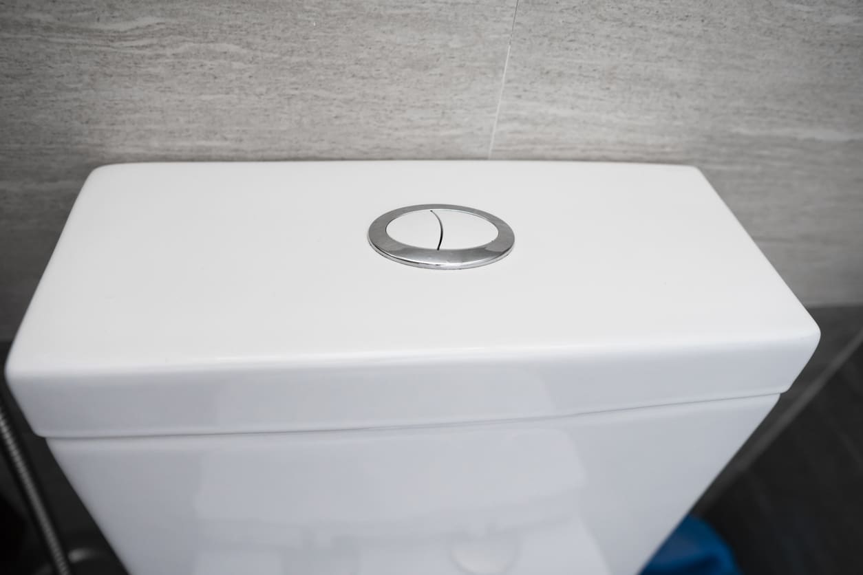 A close-up image of a toilet tank with a two-option button flush to conserve water.